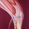 Phục hồi chức năng sau gãy xương