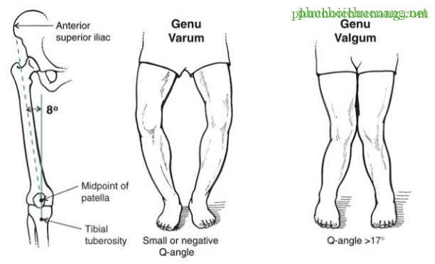 Khớp gối_page10_image6