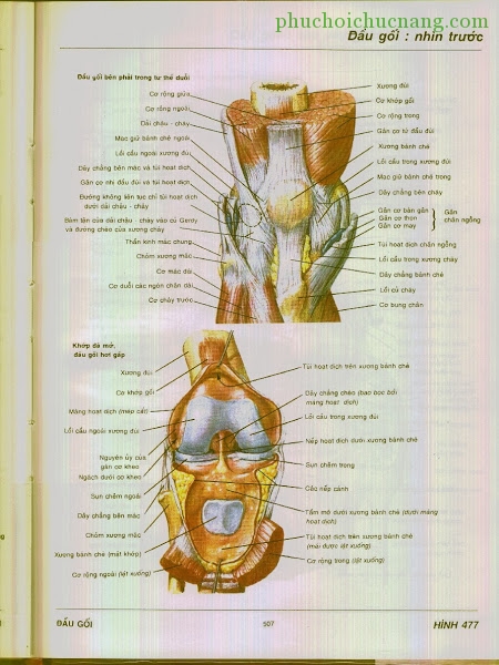 https://lh6.googleusercontent.com/-ChslmvkQups/Uvrdr2pEufI/AAAAAAAAAfE/CovTpOr34Q8/s600/N-477.JPG