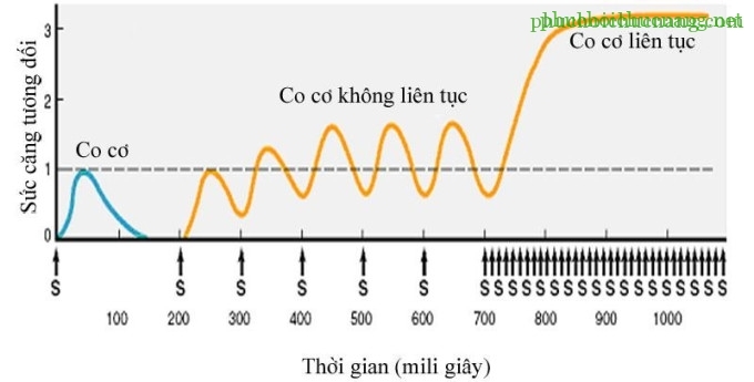 ĐIỆN TRỊ LIỆU B2_page6_image1