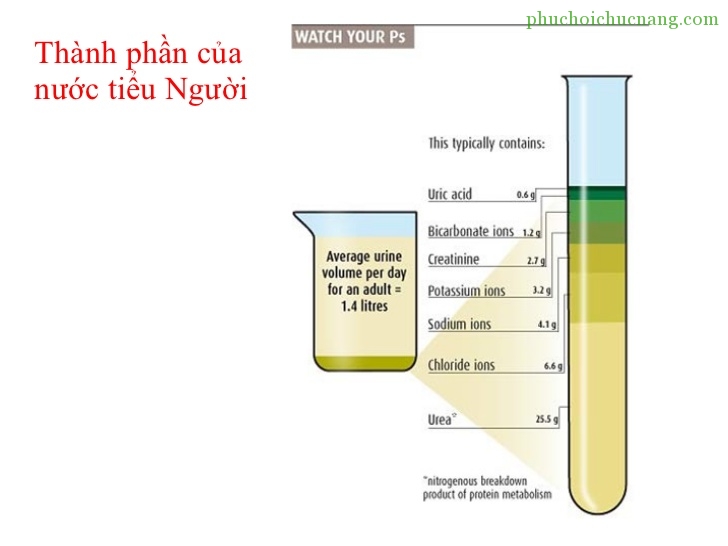 tong phan tich nuoc tieu