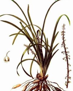 Phụ nữ có thai phiền táo không an, kinh hãi khiếp sợ và điều trị