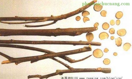 Chữa nôn nghén ở phụ nữ mang thai